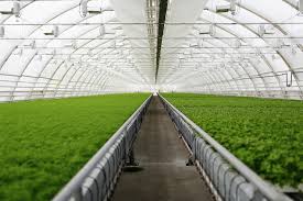 PEB for Agricultural Buildings